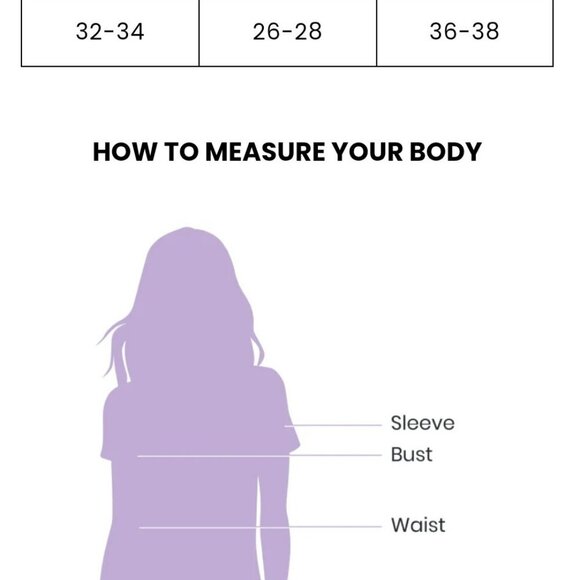 Windsor - Winning Style Mesh Ruched Mini Dress Size: Small - Picture 4 of 11